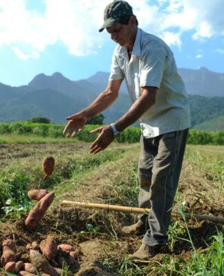 BNDES vai liberar R$ 12 bi para produtores rurais com perdas de safra