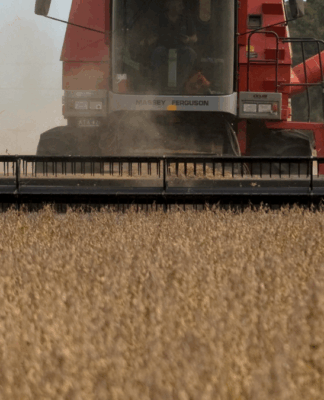 China deixa de importar soja dos EUA em setembro pela 1ª vez em sete anos