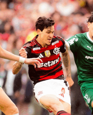 Flamengo e Palmeiras praticamente dividem chances de título do Campeonato Brasileiro