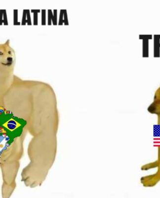 Imagem mostra meme com dois cachorros. Um deles, intitulado 