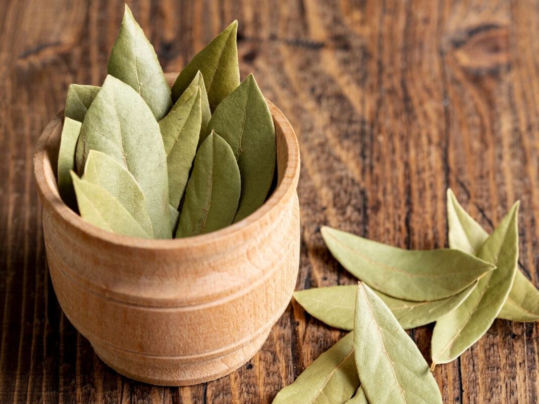 A imagem mostra um pote em cima de uma mesa de madeira cheio de folhas de louro