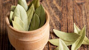 A imagem mostra um pote em cima de uma mesa de madeira cheio de folhas de louro