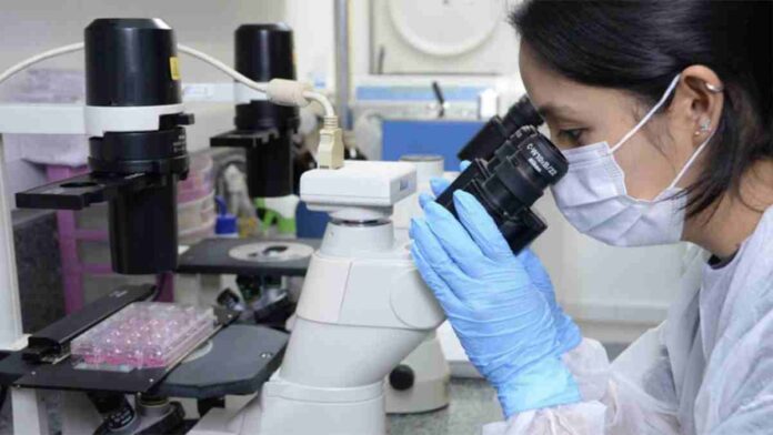 Sistema Paulista de Ambiente de Inovação passa por reformulações que facilitam a adesão