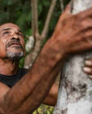 Projeto transforma áreas de queimada em produção sustentável no Marajó