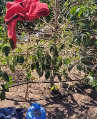 Ação resgata 17 trabalhadores em condições análogas à escravidão em SP