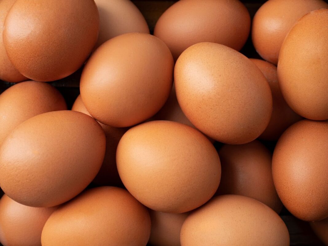 Diversos ovos em um recipiente.
