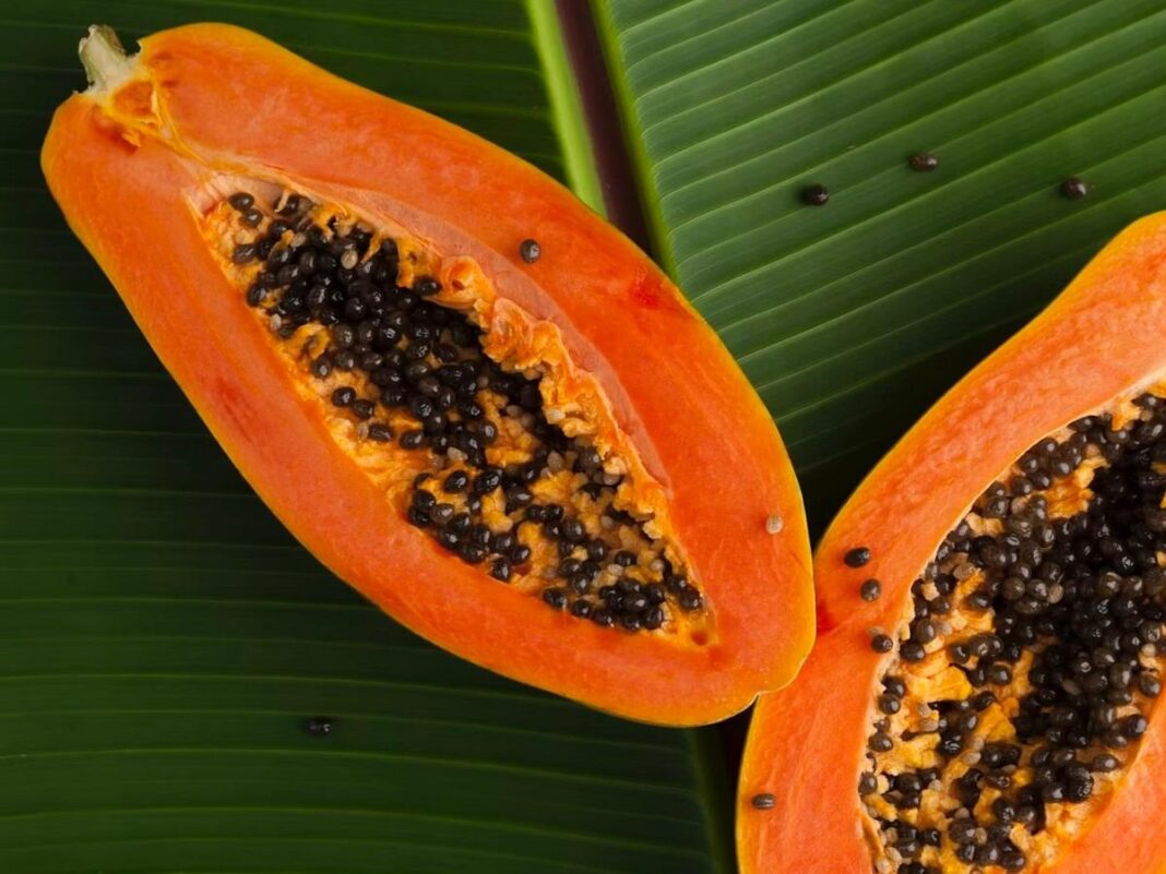 Imagem colorida de mamão