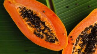 Imagem colorida de mamão