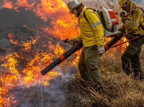 Pré-COP: Brasil propõe resposta global a incêndios florestais