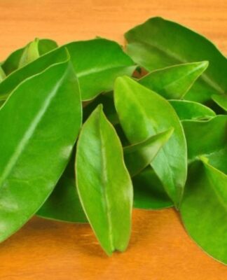 Folhas de ora-pro-nóbis