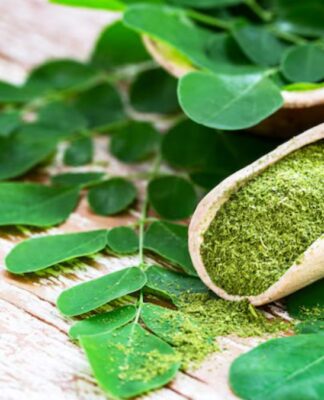 Chá de Moringa, planta e pó