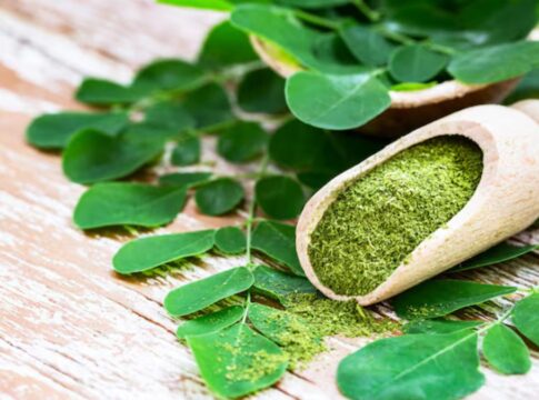Chá de Moringa, planta e pó