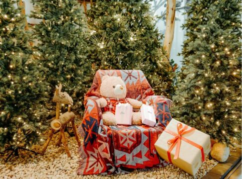 Poltrona com urso de pelúcia e várias árvores natalinas em volta.