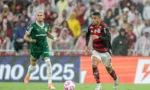 Palmeiras e Flamengo entram em campo neste sábado valendo o título de maior campeão brasileiro da Libertadores
