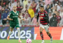 Palmeiras e Flamengo entram em campo neste sábado valendo o título de maior campeão brasileiro da Libertadores