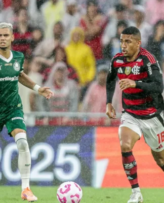 Jogadores do Palmeiras e Flamengo disputam a bola em campo