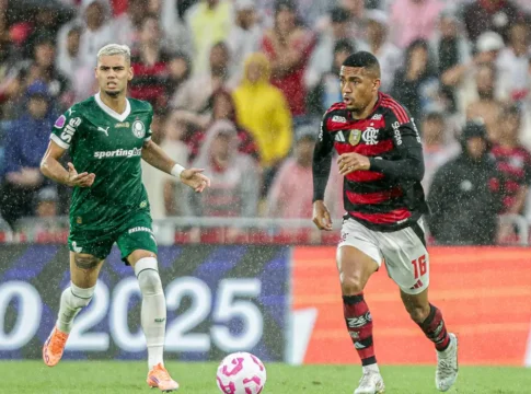 Jogadores do Palmeiras e Flamengo disputam a bola em campo