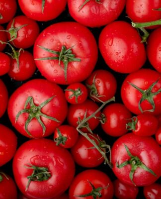 Vários tomates bem vermelhos e de diferentes tamanhos