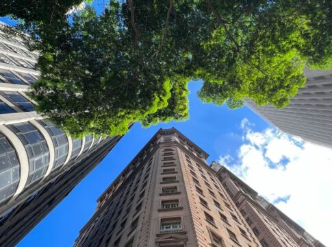 Foto tirada de baixo para cima mostra prédios altos e antigos ao redor, com uma copa de árvore preenchendo parte do enquadramento e o céu azul ao fundo.