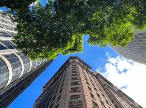 Foto tirada de baixo para cima mostra prédios altos e antigos ao redor, com uma copa de árvore preenchendo parte do enquadramento e o céu azul ao fundo.