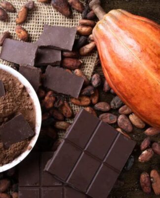 fruta cacau e o produto chocolate bem ao lado