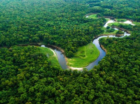 Foto área da Floresta Amazônica