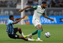 Derrota de virada para o Grêmio deixa o Palmeiras mais distante do título do Brasileirão