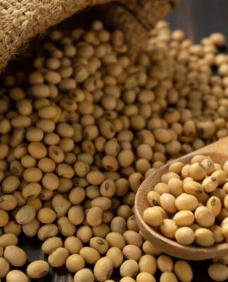 Saco de estopa aberto derramando grãos de soja sobre uma superfície de madeira, com uma colher de madeira cheia de grãos em primeiro plano.