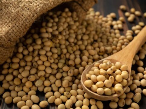Saco de estopa aberto derramando grãos de soja sobre uma superfície de madeira, com uma colher de madeira cheia de grãos em primeiro plano.