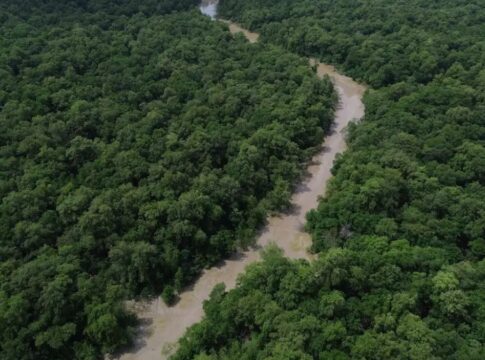Rio corta floresta amazônica