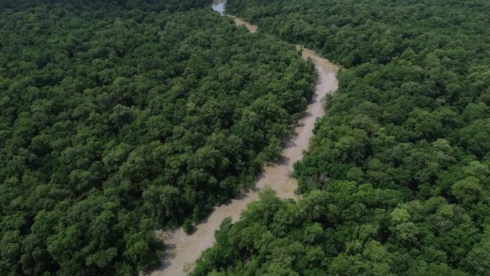 Rio corta floresta amazônica