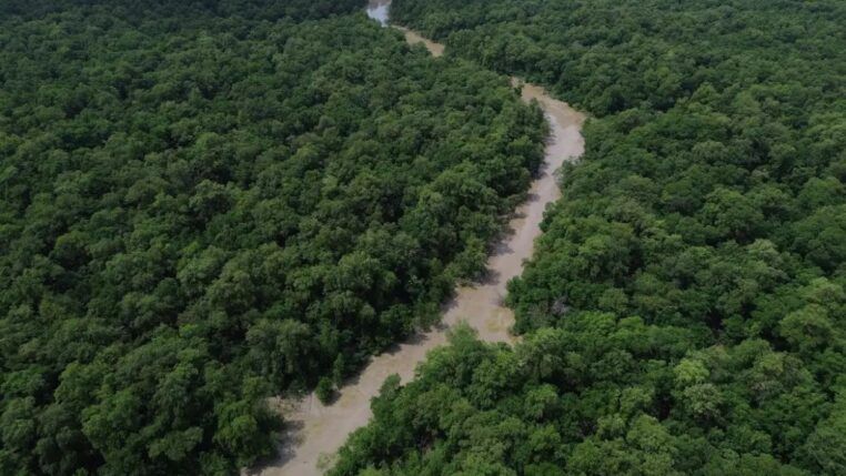 Rio corta floresta amazônica