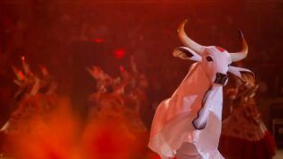 Boi-bumbá de cor branco com fundo vermelho durante manifestação cultural