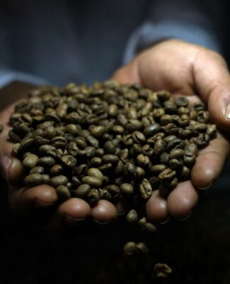 Mãos segurando grãos de café