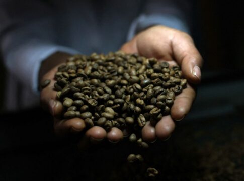 Mãos segurando grãos de café