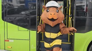 Capivara Capi Tânia