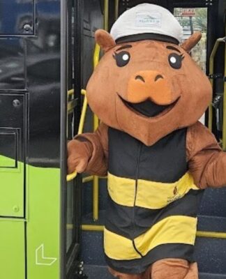 Capivara Capi Tânia