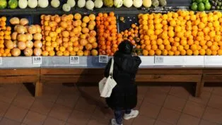 Bancada com frutas e uma mulher agachada escolhendo um produto.