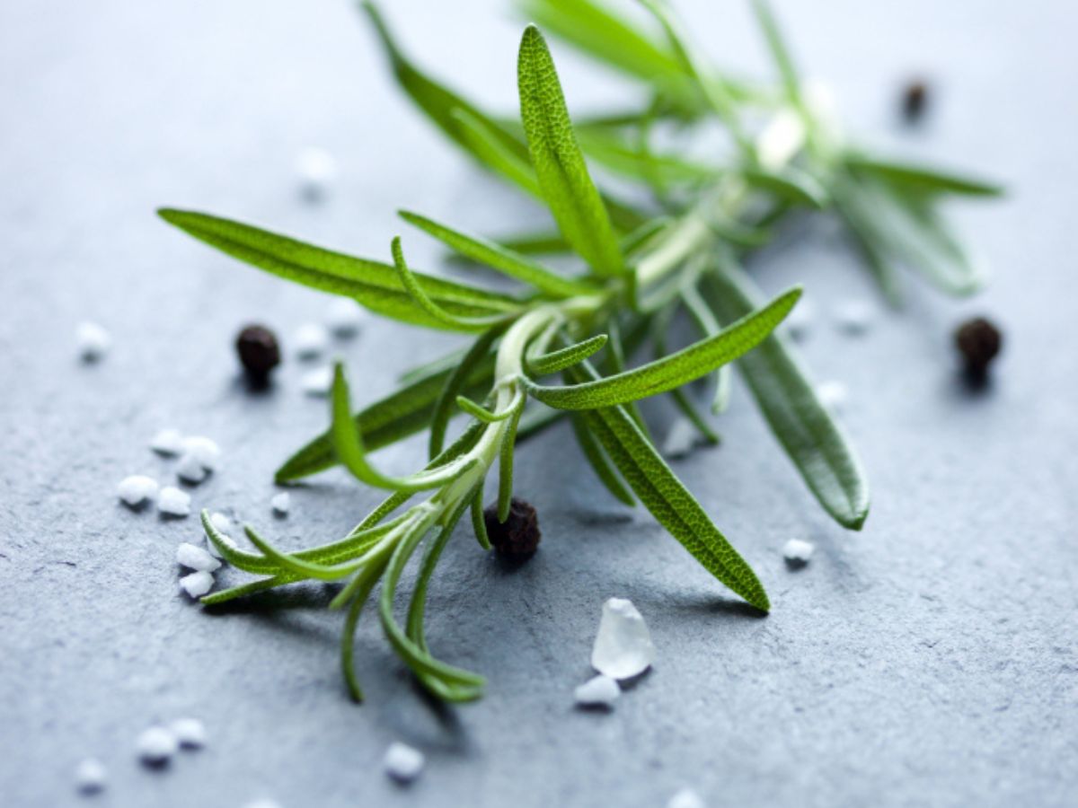 Alecrim e sal grosso