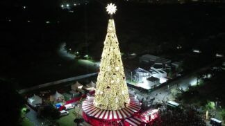 Árvore de Natal do Parque Villa-Lobos
