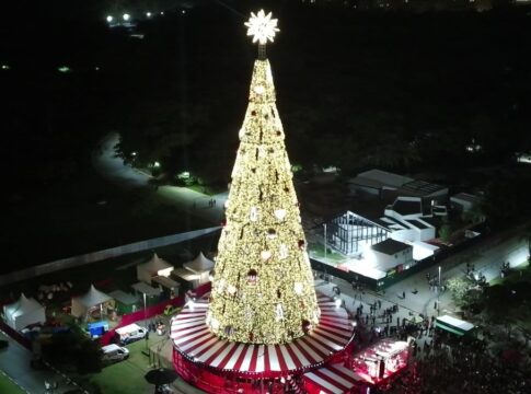 Árvore de Natal do Parque Villa-Lobos