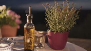 Azeite é aliado do coração e pode prevenir o envelhecimento