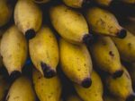 Como manter as bananas em bom estado?