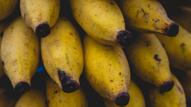 Como manter as bananas em bom estado?
