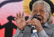 imagem do cacique Raoni