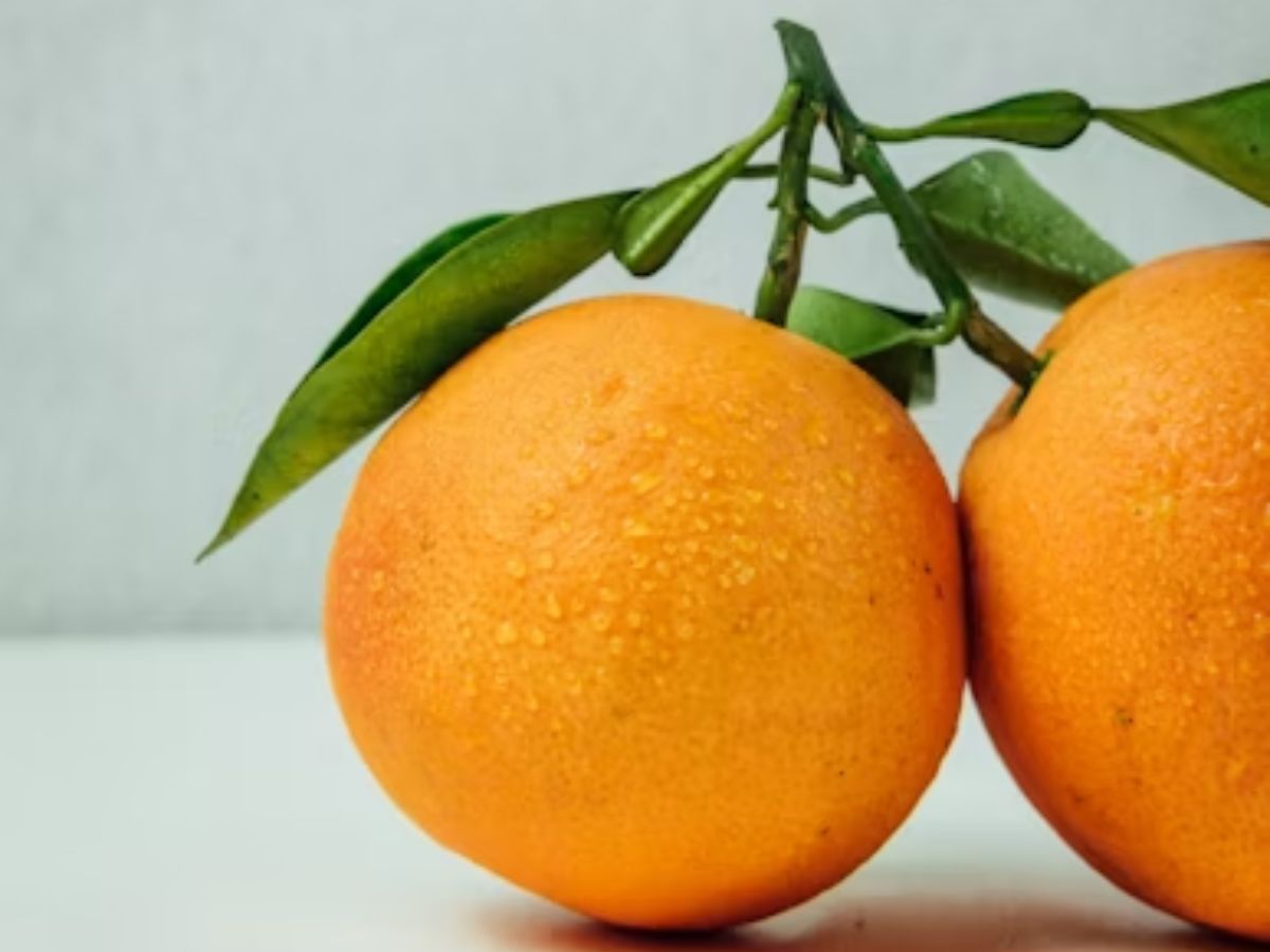 Mistura casca de laranja com canela para limpeza