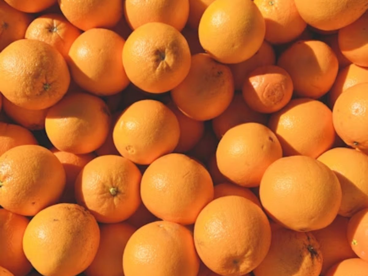 Chá de casca de laranja: veja benefícios