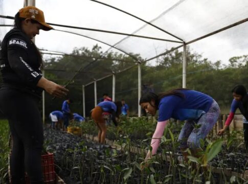 imagem de pessoas plantando