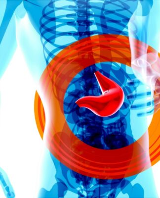 Imagem ilustrativa de fígado em destaque numa anatomia