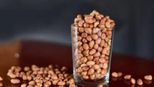 E imagem ilustrativa, há um copo estilo americano com feijões dentro e grãos caídos a mesa.